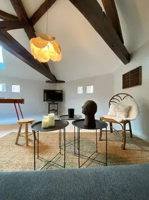 Télévision ou salle de divertissement dans l'établissement L'euphoria - Cœur historique Saumur - Château