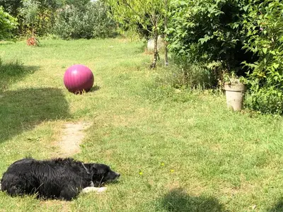 Jardin de l'établissement LA FERME DE RUSSÉ