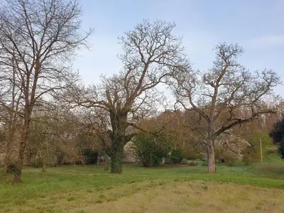 Plan de l'établissement Spatieux, confort, reposant, gd jardin bucolique, jeux, balades, zoo, châteaux