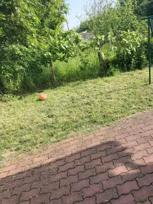 Jardin de l'établissement Hébergement 24h le mans