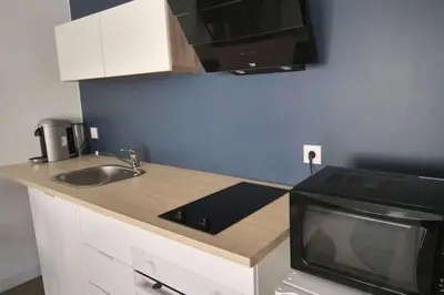 Cuisine ou kitchenette dans l'établissement Appartement indépendant proche Tours