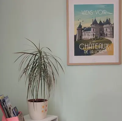 Plan de l'établissement Le Petit Louis XII - Appartement centre Blois avec garage