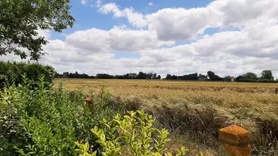 Paysage naturel près de la maison de vacances