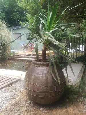 Jardin de l'établissement La cabane de Mimi la Sardine