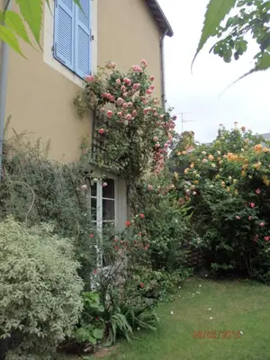 Jardin de l'établissement 2 DESCARTES