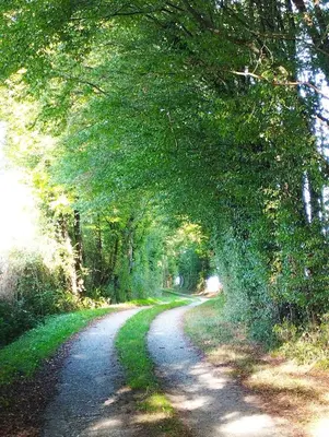 Paysage naturel près de la maison de vacances