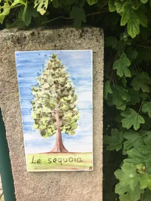 Plan de l'établissement le sequoia