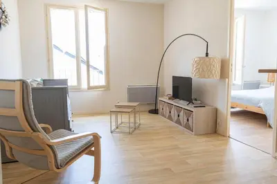 Télévision ou salle de divertissement dans l'établissement Charmant appartement - 5 mn Zoo de Beauval 4p