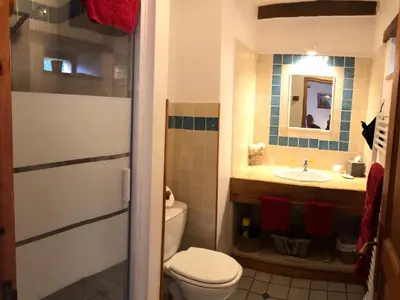 Salle de bains dans l'établissement Charmant logement avec piscine et table d'hôtes, proche de Solesmes et de l'abbaye. - FR-1-410-407