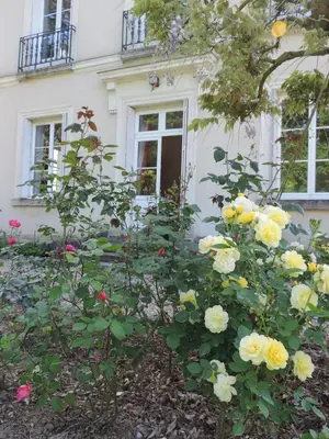 Jardin de l'établissement Cèdre et Charme