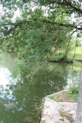 Paysage naturel près de la tente de luxe