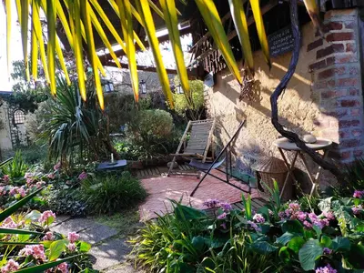 Jardin de l'établissement Le Jardin Yuccas - Cosy cottage in the Loir& Loire Valleys