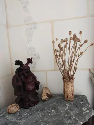 Plan de l'établissement Le Jardin Yuccas - Cosy cottage in the Loir& Loire Valleys