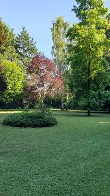 Jardin de l'établissement Verdure tourangelle