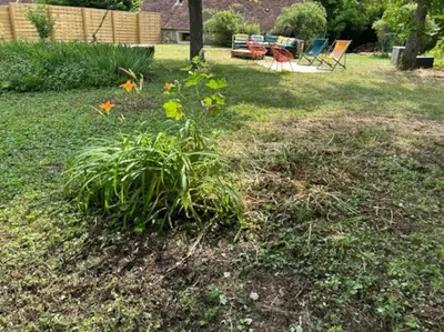 Jardin de l'établissement L'Atelier Gîte-Loft 6/8 pers