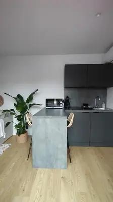 Cuisine ou kitchenette dans l'établissement Mini maison au coeur de la Loire
