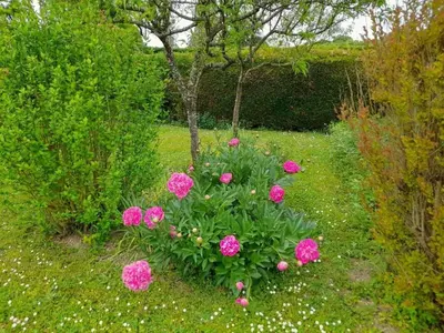 Jardin de l'établissement La Loumas