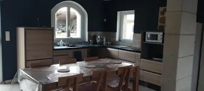 Cuisine ou kitchenette dans l'établissement La petite ligérienne
