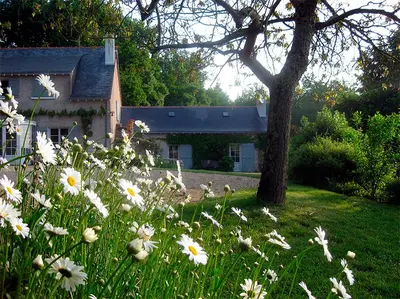 Jardin de l'établissement La Butte de Gohier