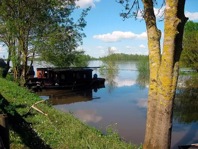 Vue sur la rivière ou le fleuve situé(e) à proximité de le B&B/chambre d'hôtes