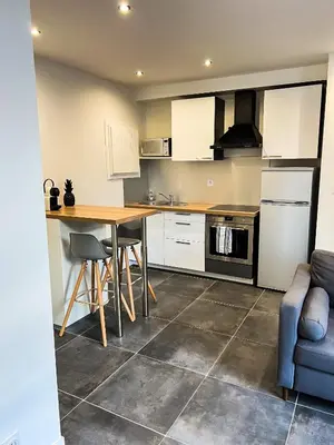 Cuisine ou kitchenette dans l'établissement Charmant Appartement au Cœur de Blois