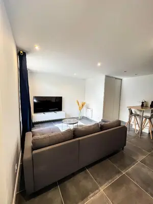 Télévision ou salle de divertissement dans l'établissement Charmant Appartement au Cœur de Blois