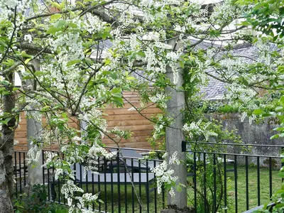Jardin de l'établissement Maison des Sources Touraine -SPA-