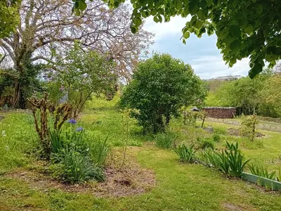 Jardin de l'établissement Les Ecureuils 4 / 6 personnes