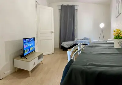 Un ou plusieurs lits dans un hébergement de l'établissement Apartment T2 Le Mans TGV Station