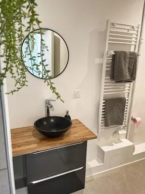 Plan de l'établissement Appartement duplex rénové vue sur la Loire
