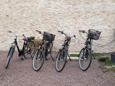 Vélo sur le terrain de l'établissement Gîte la Baronnière ou dans les environs