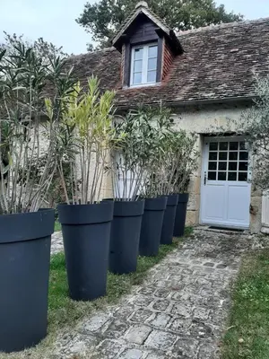 Jardin de l'établissement Gîte des châteaux de la Loire