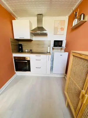 Cuisine ou kitchenette dans l'établissement Au cœur de Blois