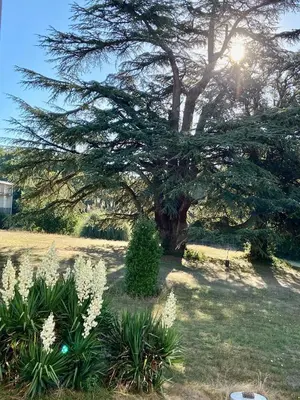 Jardin de l'établissement Château La Bainerie