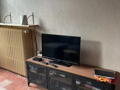 Télévision ou salle de divertissement dans l'établissement Gîte charmant proche des Châteaux de la Loire avec jardin privatif et parking. - FR-1-410-426