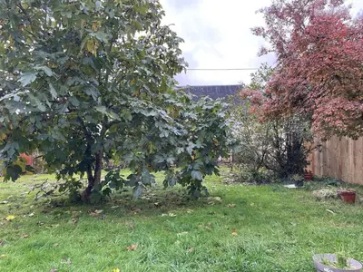 Jardin de l'établissement Gîte charmant proche des Châteaux de la Loire avec jardin privatif et parking. - FR-1-410-426