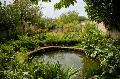 Jardin de l'établissement Gîte des Grands Moulins de Baugé
