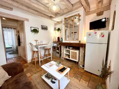 Cuisine ou kitchenette dans l'établissement Le Petit Saint Jean - Appartement cosy à Blois