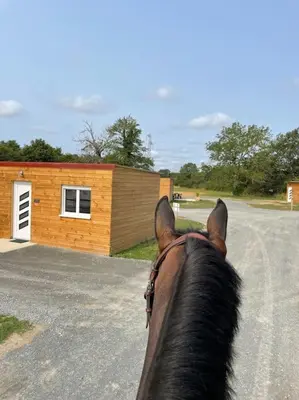 Équitation au sein de le chalet ou à proximité