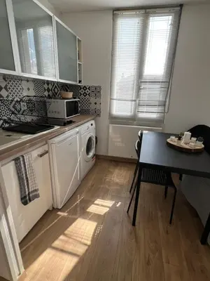 Cuisine ou kitchenette dans l'établissement Appartement T1B place saint Anne