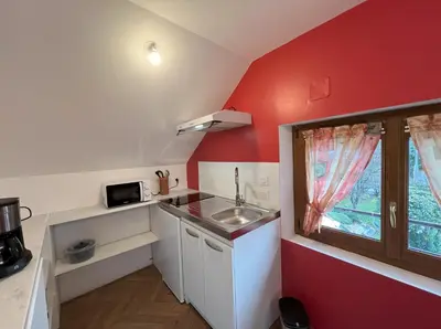 Cuisine ou kitchenette dans l'établissement Le studio de Mamy Jacquotte Centre Cour-Cheverny