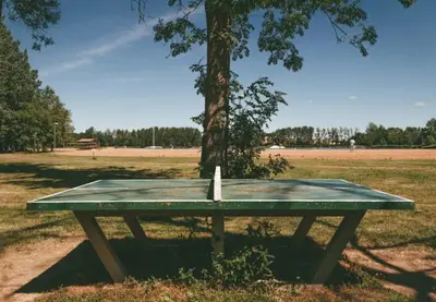 Tennis de table au sein de l'établissement ZEcamping 3 étoiles animaux acceptés espace aquatique ou à proximité