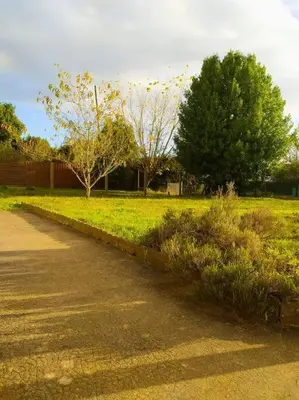 Jardin de l'établissement T'Relax - Studio calme et lumineux avec jardin