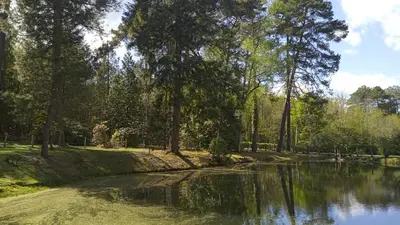 Paysage naturel près de la maison de vacances