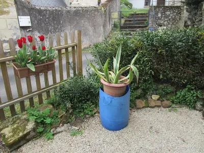 Jardin de l'établissement la maisonnette du peu-morier