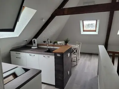 Cuisine ou kitchenette dans l'établissement Appartement avec vue sur Loire