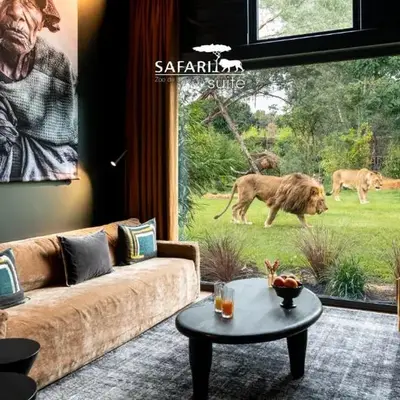 Safari Suite Lions Zoo de la Flèche