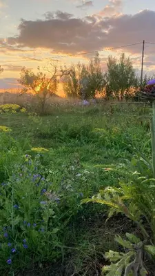 Paysage naturel près de la maison de vacances
