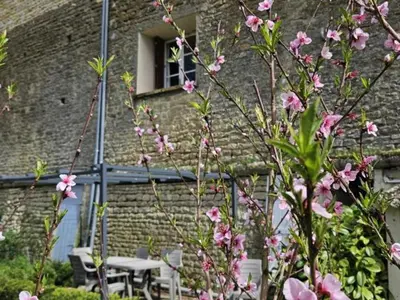 Jardin de l'établissement Gîte tout inclus avec jardin privatif, proche centre Richelieu et châteaux de la Loire - FR-1-381-565