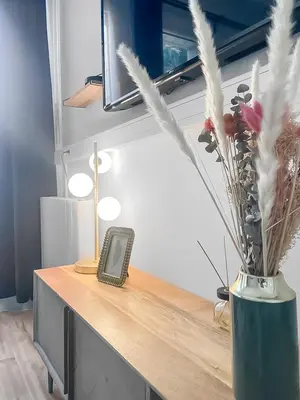 Télévision ou salle de divertissement dans l'établissement Perle de la Loire